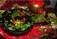 bel patra arpan at baba baidyanath dham deoghar