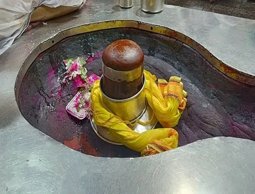 Rudrabhishek at baba basukinath dham