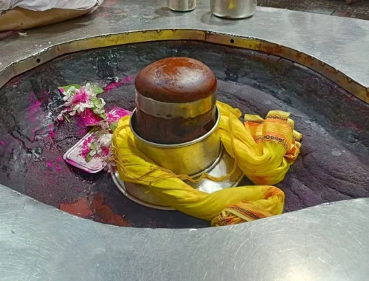 Rudrabhishek at baba basukinath dham